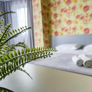 Hotel Magellan Family Guest House