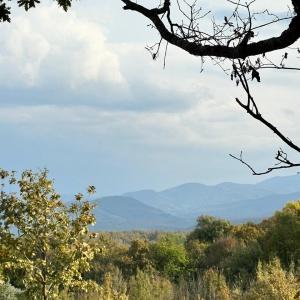 Гостиница Солнечный Склон Глэмпинг