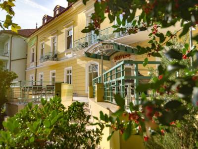 Гостиница Hotel Spa Heviz