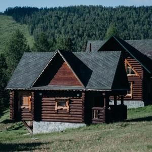 Hotel Medvezhya Gora