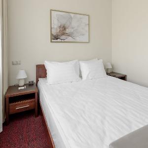 Hotel Rudov