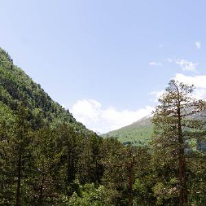 Гостиница Крокус