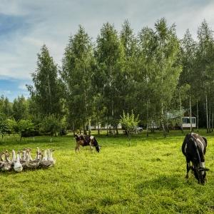 Гостиница Дом На Лесной Опушке