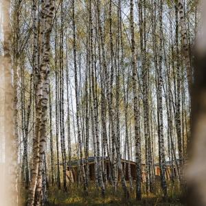 Glamping Norke Yeseninskaya Rus