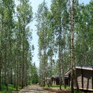 Hotel Norke Yeseninskaya Rus