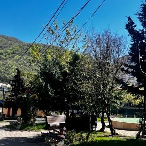 Hotel Nebug