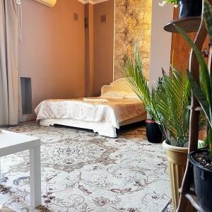 Hotel Nebug