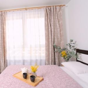 Apartments ApartHause 474 Kosmonavtov street 11v