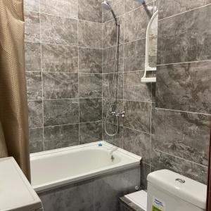 Apartments 5 Stars 1-room Apartment on Volodarskogo street 17
