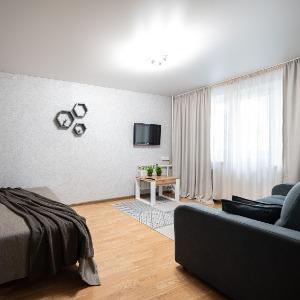 Apartments 5 Stars 1-room Apartment on Volodarskogo street 17