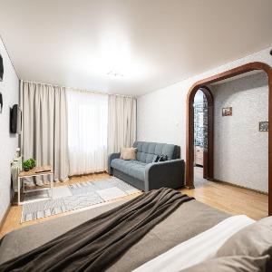 Apartments 5 Stars 1-room Apartment on Volodarskogo street 17