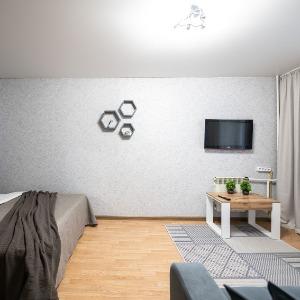 Apartments 5 Stars 1-room Apartment on Volodarskogo street 17