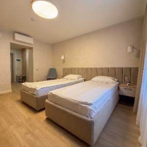Hotel Antonpalych