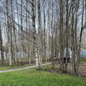 Glamping Ozero Le
