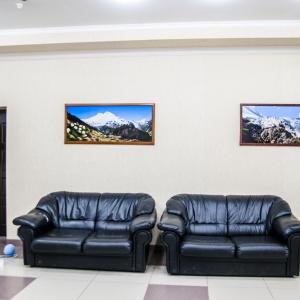 Hotel Alpina