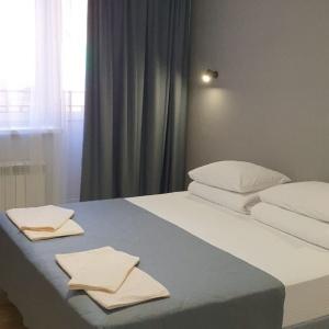 Hotel Alpina