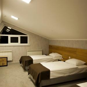 Hotel Alpina