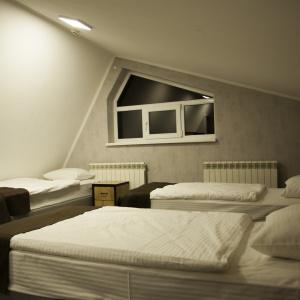Hotel Alpina