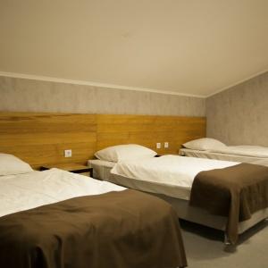 Hotel Alpina