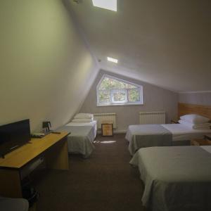 Hotel Alpina