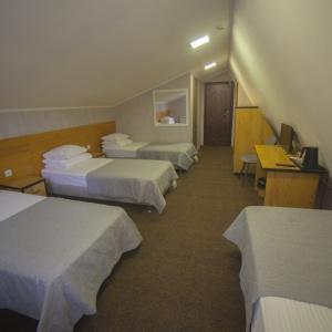 Hotel Alpina