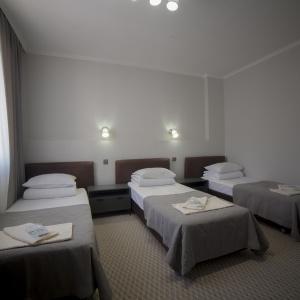Hotel Alpina