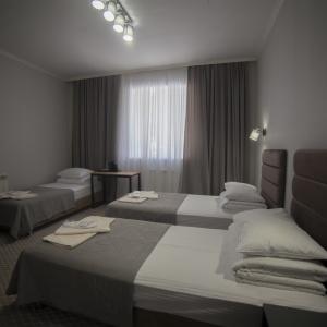 Hotel Alpina