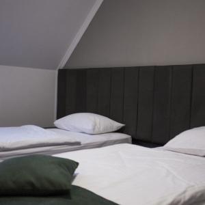 Hotel Alpina
