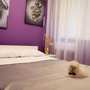 Mini Hotel Amo Teamo
