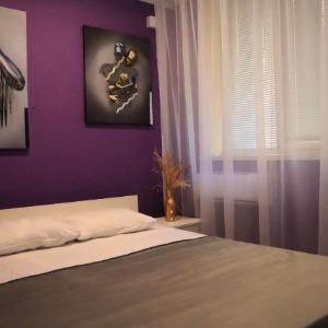 Mini Hotel Amo Teamo