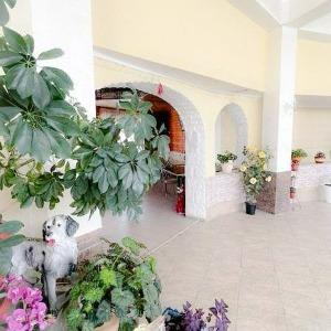 Guest house U Druzey