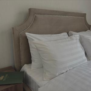 Hotel Osetia