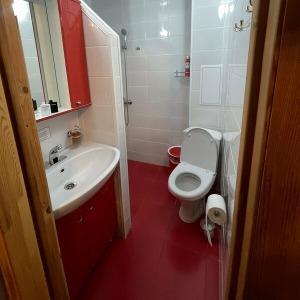 Guest house U Lukomorya