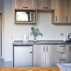 Accomodation facility Apartments Savina Pamyati Pavshikh v Afganistane street 24