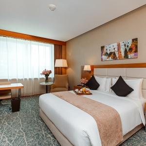 Hotel Holiday Inn Baku