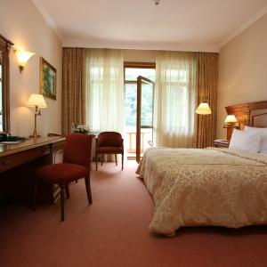 Hotel Grand Hotel Polyana