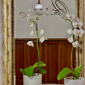 Hotel Hermitage