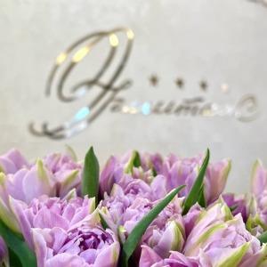 Hotel Hermitage