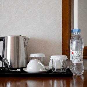 Hotel Stepnaya Palmira