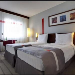 Hotel Cosmos Moscow Sheremetyevo Airport Hotel