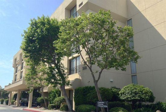 Гостиница Four Points by Sheraton San Jose Airport