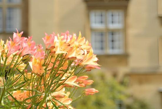 Hotel Christ's College Cambridge