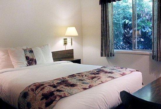 Гостиница Robin Hood Inn and Suites