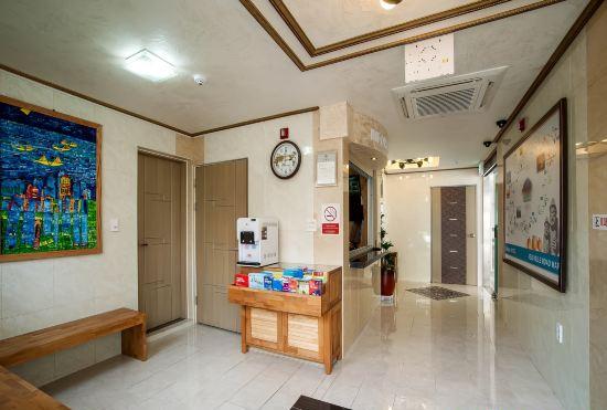 Гостиница Hotel Maple
