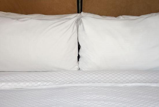 Гостиница Four Points by Sheraton Saskatoon