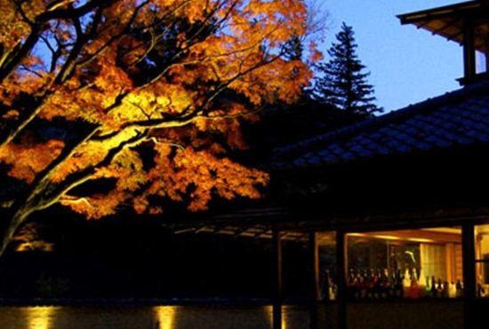 Гостиница Hakone Suishoen
