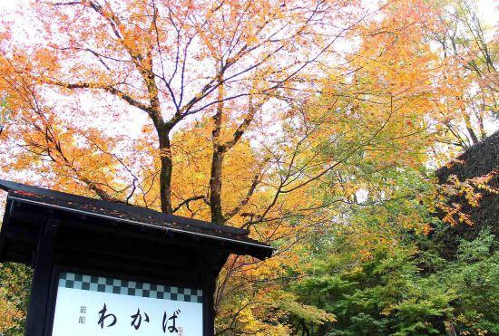 Hotel Ryokan Wakaba