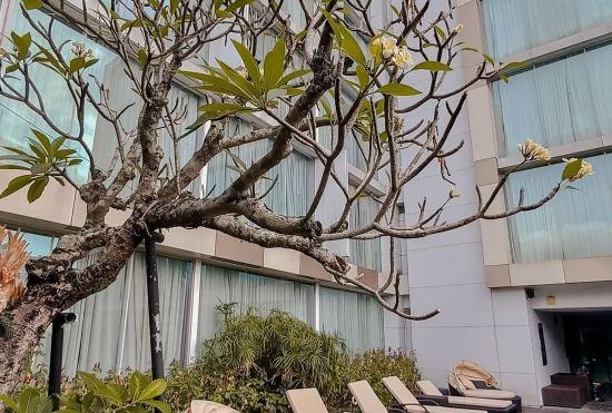 Гостиница ARTOTEL Suites Bianti Yogyakarta