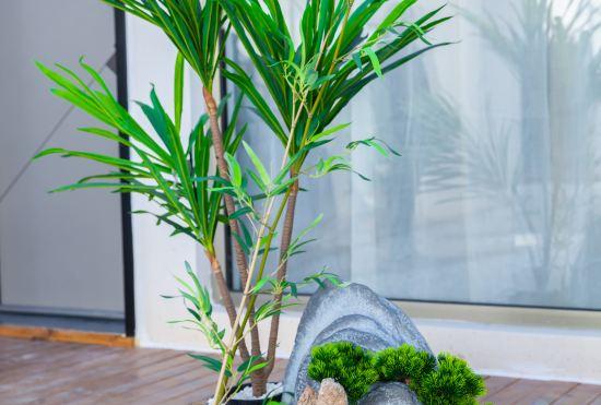 Гостиница Yunye Chuxin Homestay (Beijing Zhangfang Branch)