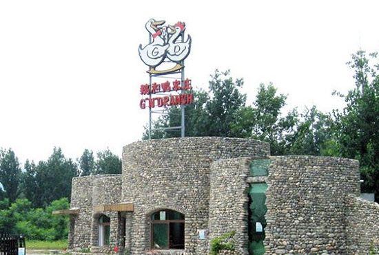 Гостиница Goose and Duck Ranch
